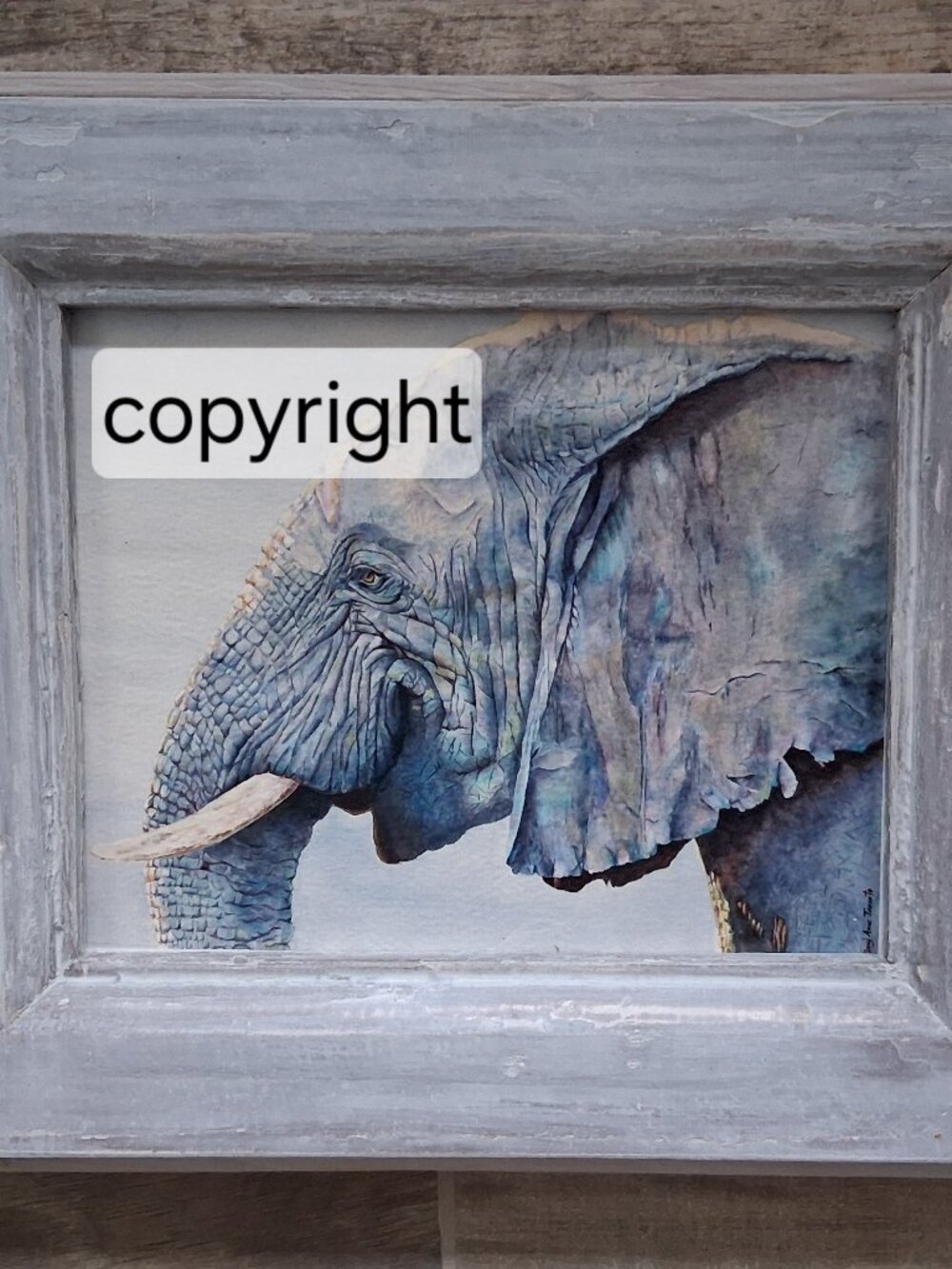 FRAMED NEW ELEPHANT CANVAS PRINT IN RECLAIMED ANTIQUE WOOD